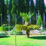 côté jardin
